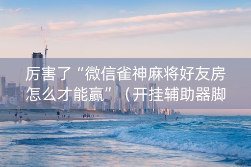 厉害了“微信雀神麻将好友房怎么才能赢”（开挂辅助器脚本)