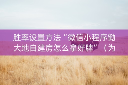胜率设置方法“微信小程序锄大地自建房怎么拿好牌”（为什么有人一直赢)