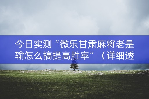 今日实测“微乐甘肃麻将老是输怎么搞提高胜率”（详细透视教程）-哔哩哔哩