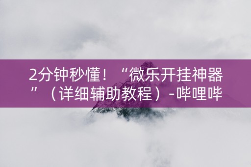 2分钟秒懂！“微乐开挂神器”（详细辅助教程）-哔哩哔哩