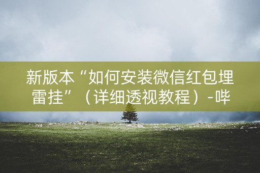 新版本“如何安装微信红包埋雷挂”（详细透视教程）-哔哩哔哩
