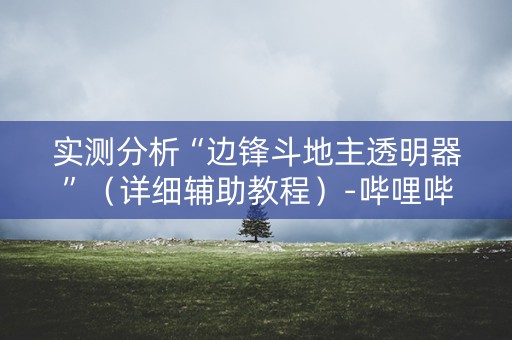 实测分析“边锋斗地主透明器”（详细辅助教程）-哔哩哔哩