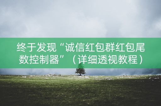 终于发现“诚信红包群红包尾数控制器”（详细透视教程）-哔哩哔哩