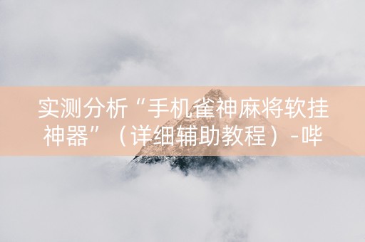 实测分析“手机雀神麻将软挂神器”（详细辅助教程）-哔哩哔哩