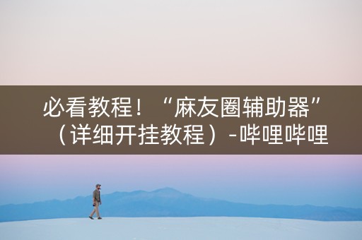 必看教程！“麻友圈辅助器”（详细开挂教程）-哔哩哔哩