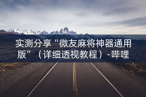 实测分享“微友麻将神器通用版”（详细透视教程）-哔哩哔哩