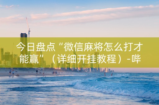 今日盘点“微信麻将怎么打才能赢”（详细开挂教程）-哔哩哔哩