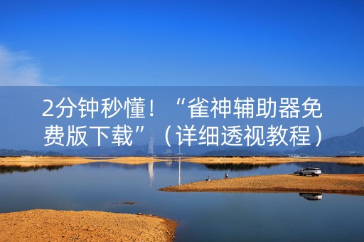 2分钟秒懂！“雀神辅助器免费版下载”（详细透视教程）-哔哩哔哩