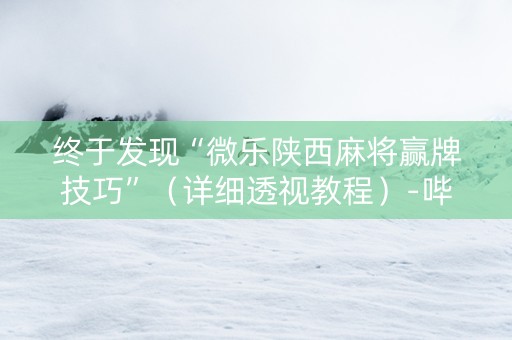 终于发现“微乐陕西麻将赢牌技巧”（详细透视教程）-哔哩哔哩