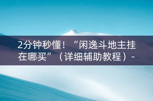 2分钟秒懂！“闲逸斗地主挂在哪买”（详细辅助教程）-哔哩哔哩