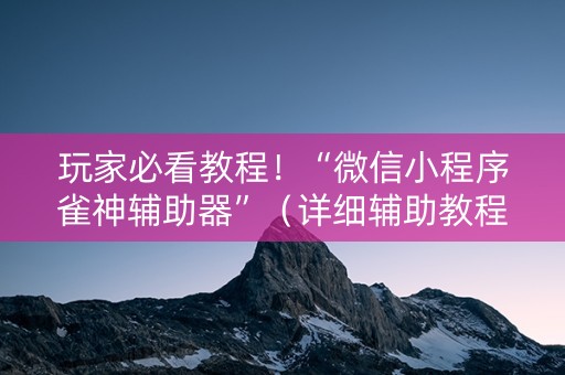 玩家必看教程！“微信小程序雀神辅助器”（详细辅助教程）-哔哩哔哩
