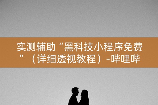 实测辅助“黑科技小程序免费”（详细透视教程）-哔哩哔哩
