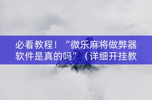 必看教程！“微乐麻将做弊器软件是真的吗”（详细开挂教程）-哔哩哔哩