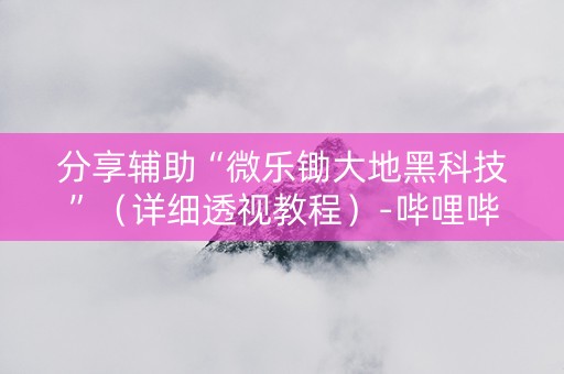 分享辅助“微乐锄大地黑科技”（详细透视教程）-哔哩哔哩
