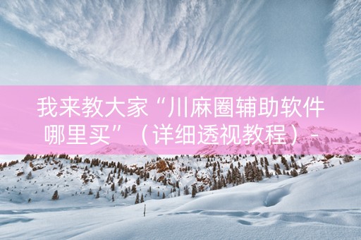 我来教大家“川麻圈辅助软件哪里买”（详细透视教程）-哔哩哔哩