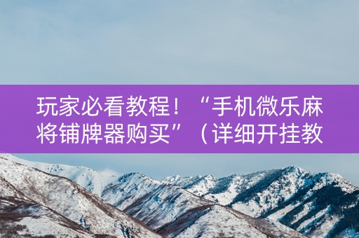 玩家必看教程！“手机微乐麻将铺牌器购买”（详细开挂教程）-哔哩哔哩