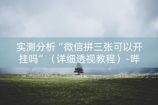 实测分析“微信拼三张可以开挂吗”（详细透视教程）-哔哩哔哩