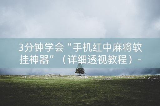 3分钟学会“手机红中麻将软挂神器”（详细透视教程）-哔哩哔哩