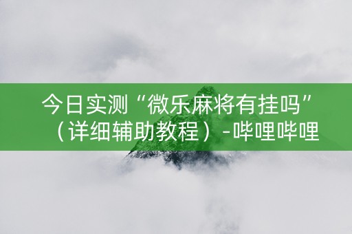 今日实测“微乐麻将有挂吗”（详细辅助教程）-哔哩哔哩