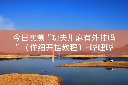 今日实测“功夫川麻有外挂吗”（详细开挂教程）-哔哩哔哩