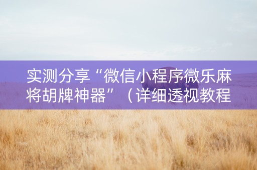 实测分享“微信小程序微乐麻将胡牌神器”（详细透视教程）-哔哩哔哩