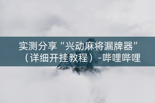 实测分享“兴动麻将漏牌器”（详细开挂教程）-哔哩哔哩