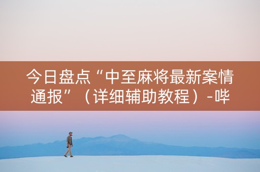 今日盘点“中至麻将最新案情通报”（详细辅助教程）-哔哩哔哩