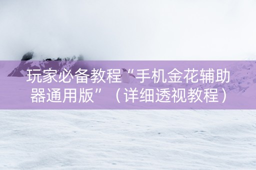 玩家必备教程“手机金花辅助器通用版”（详细透视教程）-哔哩哔哩