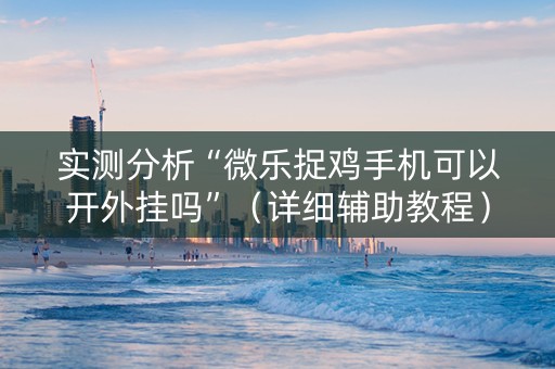 实测分析“微乐捉鸡手机可以开外挂吗”（详细辅助教程）-哔哩哔哩
