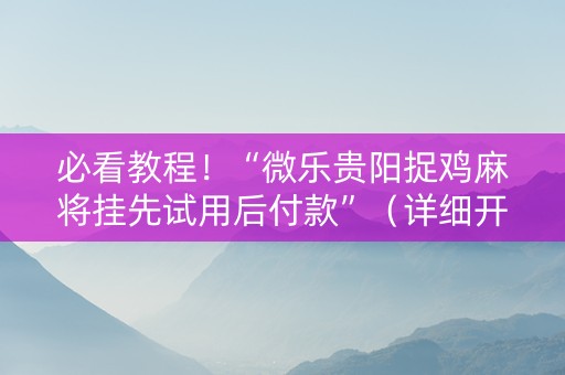 必看教程！“微乐贵阳捉鸡麻将挂先试用后付款”（详细开挂教程）-哔哩哔哩