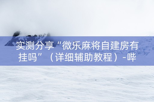 实测分享“微乐麻将自建房有挂吗”（详细辅助教程）-哔哩哔哩