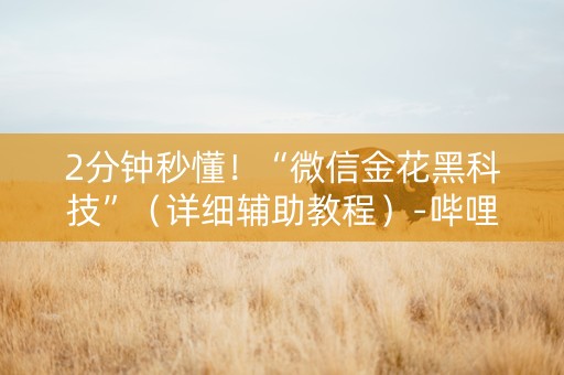 2分钟秒懂！“微信金花黑科技”（详细辅助教程）-哔哩哔哩