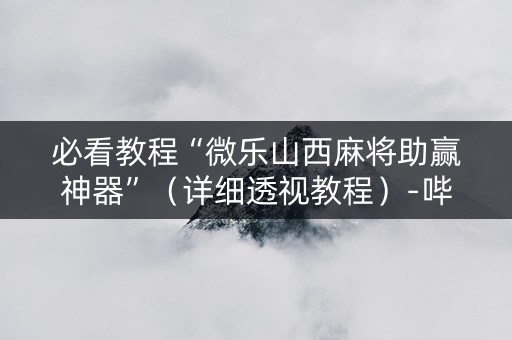 必看教程“微乐山西麻将助赢神器”（详细透视教程）-哔哩哔哩