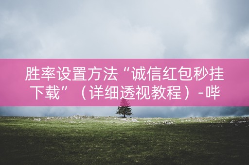 胜率设置方法“诚信红包秒挂下载”（详细透视教程）-哔哩哔哩