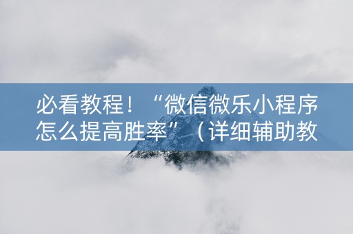 必看教程！“微信微乐小程序怎么提高胜率”（详细辅助教程）-哔哩哔哩