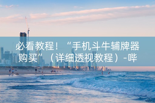 必看教程！“手机斗牛辅牌器购买”（详细透视教程）-哔哩哔哩
