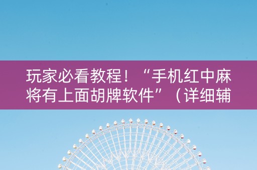 玩家必看教程！“手机红中麻将有上面胡牌软件”（详细辅助教程）-哔哩哔哩