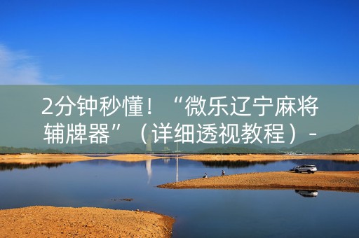2分钟秒懂！“微乐辽宁麻将辅牌器”（详细透视教程）-哔哩哔哩