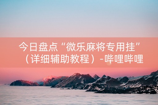 今日盘点“微乐麻将专用挂”（详细辅助教程）-哔哩哔哩