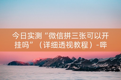 今日实测“微信拼三张可以开挂吗”（详细透视教程）-哔哩哔哩