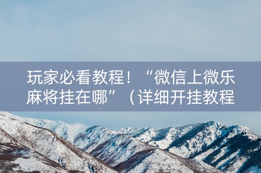 玩家必看教程！“微信上微乐麻将挂在哪”（详细开挂教程）-哔哩哔哩