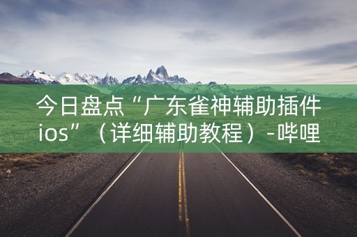 今日盘点“广东雀神辅助插件ios”（详细辅助教程）-哔哩哔哩