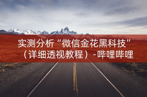 实测分析“微信金花黑科技”（详细透视教程）-哔哩哔哩