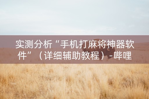 实测分析“手机打麻将神器软件”（详细辅助教程）-哔哩哔哩