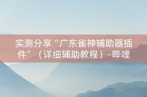 实测分享“广东雀神辅助器插件”（详细辅助教程）-哔哩哔哩