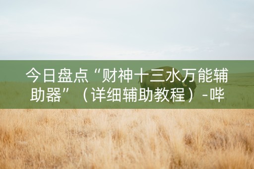 今日盘点“财神十三水万能辅助器”（详细辅助教程）-哔哩哔哩