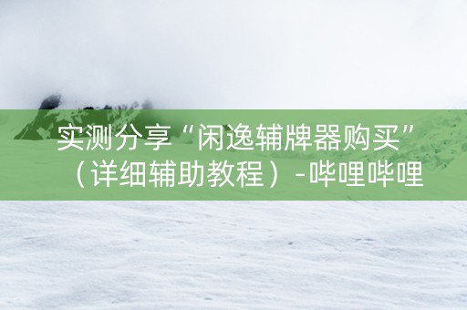 实测分享“闲逸辅牌器购买”（详细辅助教程）-哔哩哔哩