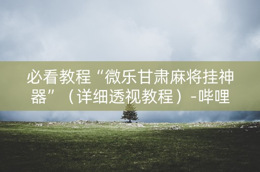 必看教程“微乐甘肃麻将挂神器”（详细透视教程）-哔哩哔哩