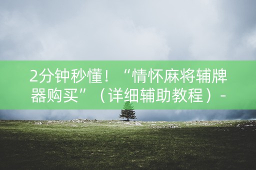 2分钟秒懂！“情怀麻将辅牌器购买”（详细辅助教程）-哔哩哔哩