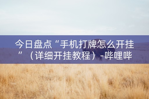 今日盘点“手机打牌怎么开挂”（详细开挂教程）-哔哩哔哩